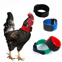 Collier réglable en nylon solide pour poulets, anti-coucou, avec boucle auto-adhésive pour volailles et petits animaux