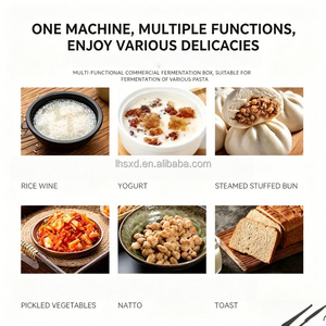 <span class=keywords><strong>Horno</strong></span> de Fermentación Comercial de Alta Eficiencia, Gabinete de Fermentación Multifuncional para Pan, Tostadas, Baozi, Mantou, Pizza - Product Image 5