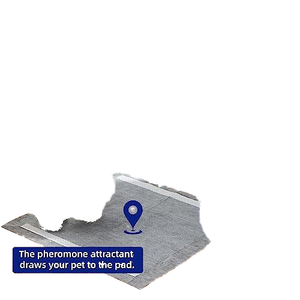 Nouvelles coussinets d'apprentissage pour chiens, noirs, jetables, en bambou et coton, imperméables, avec stimulation électrique et vibration, directement de l'usine - Product Image 6