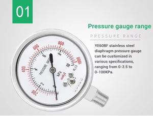 Tùy chỉnh viên nang vi kiểm tra áp suất 100 kPa chịu nhiệt độ cao áp kế đo áp suất với con dấu cơ hoành - Product Image 3