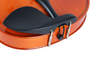 Professional Solid Wooden 4/4 Violin with Free Violin Accessories