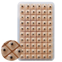 Kit d'Acupuncture de 600 Graines Auriculaires de Vaccaria Naturelles et Herbes Chinoises avec Modèle d'Oreille en Silicone pour Massage Auriculaire