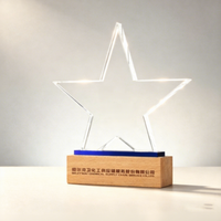 Nouvelles récompenses en cristal de luxe pour artistes, avec base en bois personnalisée, gravure laser 3D en forme d'étoile de haute qualité, pour événements musicaux