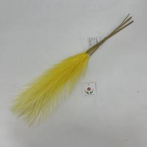 Tutti i colori più recenti Mini Faux <span class=keywords><strong>Pampas</strong></span> <span class=keywords><strong>la</strong></span> pampa artificiale erba vendita calda per <span class=keywords><strong>la</strong></span> casa o artificiale <span class=keywords><strong>Pampas</strong></span> parete utilizzando - Product Image 2