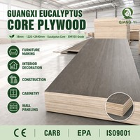 Contreplaqué mélaminé ENF E0 18 mm pour armoires de cuisine, imperméable, anti-moisissure, sans formaldéhyde, fabricant de panneaux sur mesure