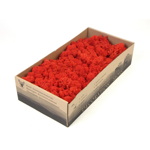 High Quality Preserved &amp; Real Moss for Valentine's Day Christmas &amp; Graduation Decorations Eco-Friendly Indoor/Outdoor Use - Product Image 4