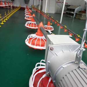 Vente directe d'usine de nouveaux mangeoires en plastique pour poulet volaille divers modèles d'équipement d'élevage automatique avec 1 an de garantie - Product Image 3