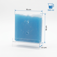 Brique de glace adaptée aux enfants pour la nourriture Boîte isotherme réutilisable de diverses formes