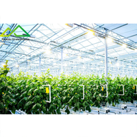 Lampe de culture HPS ( Sodium haute pression ) en alliage d'aluminium avec une durée de vie de 25 000 heures pour la croissance commerciale des plantes dans les systèmes de serres