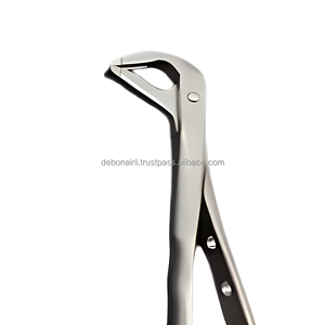 Forceps dentaires professionnels pour l'extraction des dents chez l'adulte, en acier inoxydable, instruments chirurgicaux ergonomiques, fournisseur en gros - Product Image 5