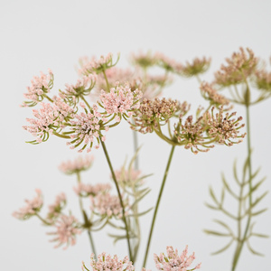 Fleurs de mariage artificielles en dentelle de la reine <span class=keywords><strong>Anne</strong></span>, 60 cm, 5 têtes, couleurs d'automne réalistes, pour bouquet, centre de table, décoration de fête à domicile - Product Image 3