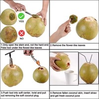 Ouvre-Noix de Coco Portable Pratique en Acier Inoxydable pour Coconuts Jeunes