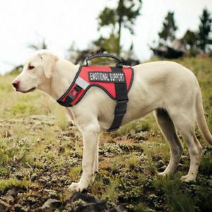 Free sample Superior Quality <b>Dog</b> Vest <b>Harness</b> with Breathable, Soft, Reflective Mesh Technology - Product Image 4