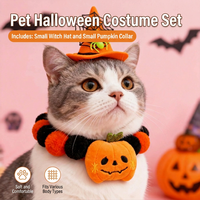 Ensemble de costumes d'Halloween pour animaux de compagnie : Bandeau, chapeau de sorcière, collier et accessoires fantôme et araignée pour chats et chiens
