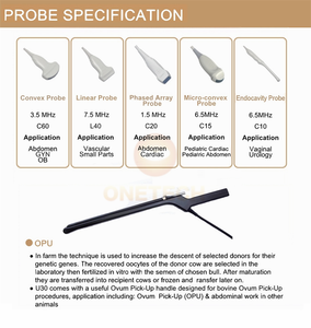 Diskon besar B51vet pemindai Ultrasound vetterarium untuk anjing kucing domba babi kuda sapi portabel mesin Ultrasound dokter hewan harga - Product Image 5