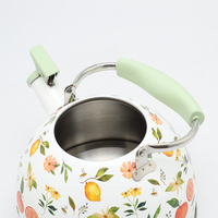 Bouilloire sifflante en acier inoxydable 2,5 L, moderne, pour la cuisine domestique, compatible induction, avec motif imprimé