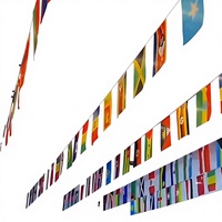 Drapeaux de fanion rectangulaires personnalisés avec logo, 5x8 pouces, pour la vente en gros, drapeaux nationaux sur corde personnalisée