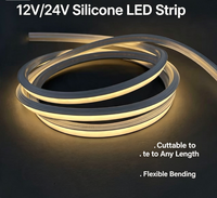 Bande LED néon en silicone 1010, lumière linéaire flexible, tube LED étanche, éclairage décoratif, extérieur, intérieur, longueur personnalisée, OEM