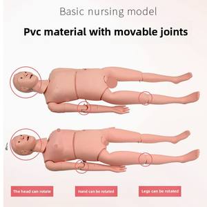 Maniquí masculino y femenino para entrenamiento de Ciencias Médicas, modelo de conocimiento de cuidado de enfermería y cuidado de maternidad para uso escolar - Product Image 3