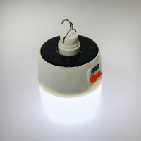 Vente en gros personnalisée Ampoule à énergie solaire rechargeable pour lampe de chargement d'urgence étanche 100w Led