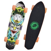 Planche de cruiser en érable de 24 pouces, collection, avec votre propre poissons