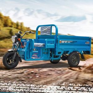 2025 Chine Offre Spéciale adulte électrique auto-décharge <span class=keywords><strong>moto</strong></span> à trois roues tricycle cargo à 3 roues Installation de batterie en option - Product Image 3