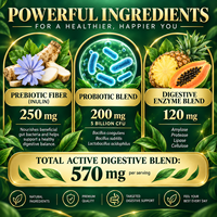 Gummies de soutien digestif avec Inuline, Probiotiques, Amylase, Protéase, Lipase, Cellulase, Formule active 580mg, Approvisionnement en vrac