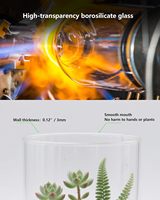 Terrarium de bureau en verre avec lumière de croissance 9,8 po H pour plantes, succulentes, mousse, mini-jardins, aquariums pour poissons Betta, culture de champignons