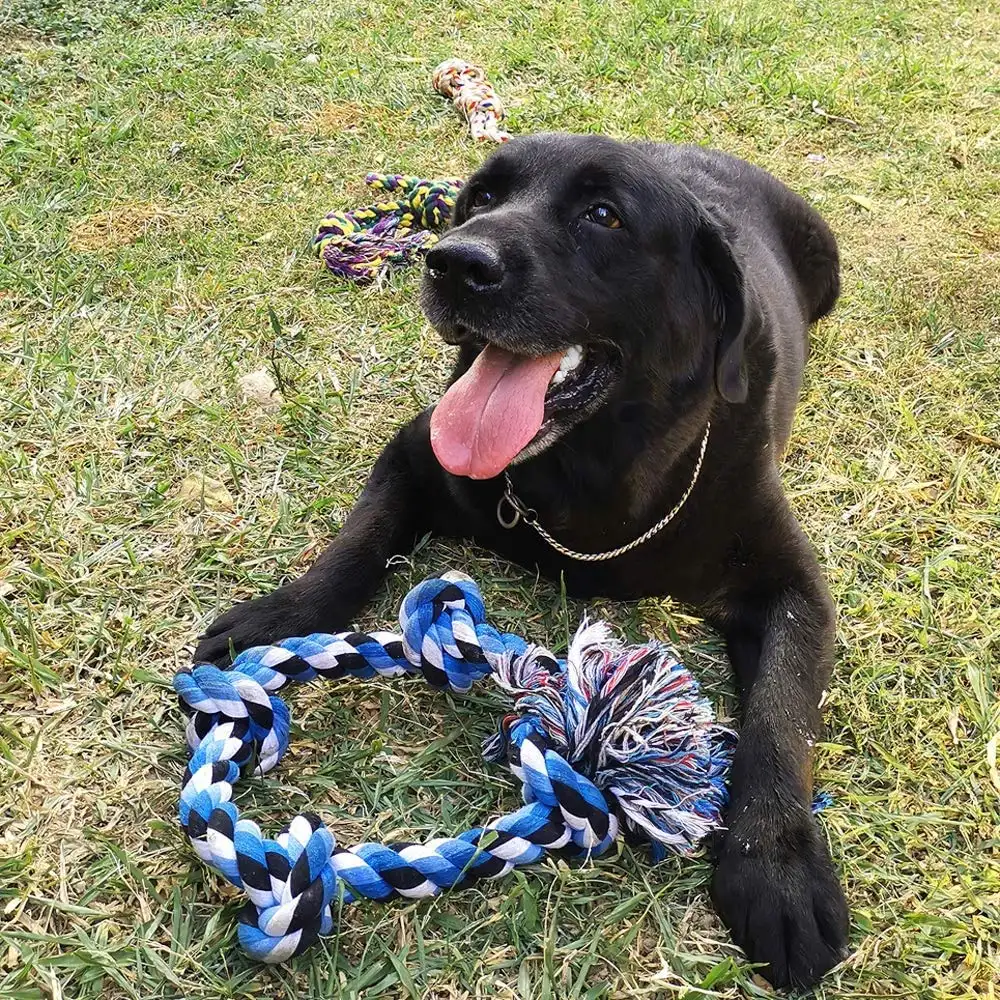 プロのペットトレーニングおもちゃ耐久性のある犬の綱引きおもちゃ環境にやさしいコットンロープノット犬の歯が生える噛むおもちゃ