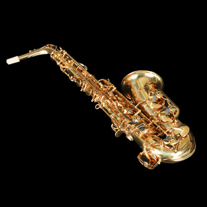 Saxophone alto en mi bémol de qualité professionnelle, haut de gamme, en laiton, avec caractéristiques personnalisables et clé F haute - Product Image 1