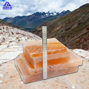 للبيع بالجملة طوب ملح الهيمالايا وردي طبيعي طوب مكعبات ملح لغرفة الملح ، سعر الطوب الأبيض - Product Image 2