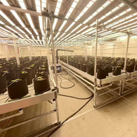 Système de bancs roulants pour serres de semis à flux et reflux, table de culture pour l'irrigation, gestion efficace de l'eau