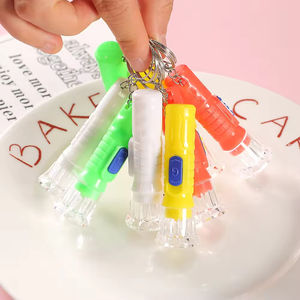 <b>Bright</b> Mini AA LED Keychain Flashlight Waterproof USB Rechargeable Camping <b>Torch</b> with Random Color Keyring - Product Image 4