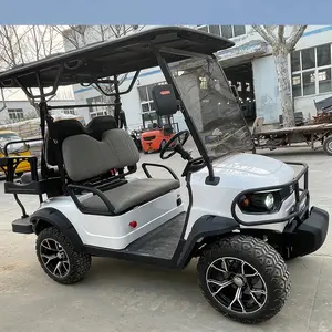 尼斯俱乐部汽车电池供电高尔夫球车迷你电动高尔夫球车25千米/h个人最大速度观光车