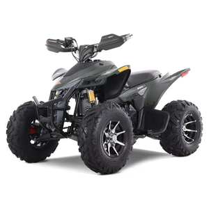 Quad professionnel 249cc EFI, 4 vitesses manuelles, marche arrière, refroidissement par air, véhicule utilitaire tout-terrain avec freins à disque hydrauliques - Product Image 1