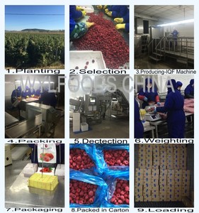 Giá bán buôn đông lạnh mâm xôi iqf quá trình số lượng lớn đóng gói Mâm xôi đỏ từ Serbia - Product Image 5