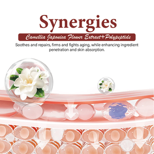 Juego de cuidado de la piel de péptido de Camelia a base de hierbas, juego de reparación calmante hidratante nutritivo profundo OEM ODM - Product Image 3