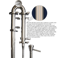 Alambic électrique domestique de 25 L en acier inoxydable, colonne creuse, équipement de production d'alcool, équipement de distillation d'alcool