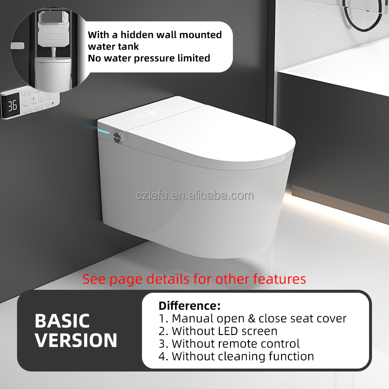 versión básica (tanque de agua oculto colgante)