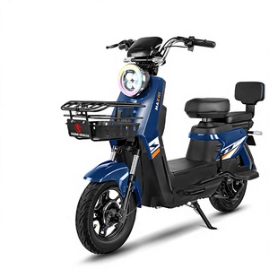 Vélo Électrique à Moteur Arrière 48V Modèle <span class=keywords><strong>Jumbo</strong></span> Exclusif pour le Commerce Extérieur, Assistance à Deux Roues, Personnalisation Transfrontalière en Usine - Product Image 1