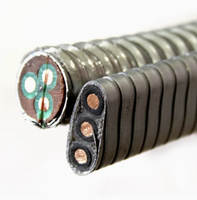 Câble ESP 1AWG 2AWG 4AWG 5AWG 6AWG 7AWG pour application de finition ESP dans les champs pétrolifères