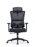 Chaise de bureau moderne en maille, design ergonomique avec soutien dorsal respirant, hauteur réglable, confortable pour une longue séance assise