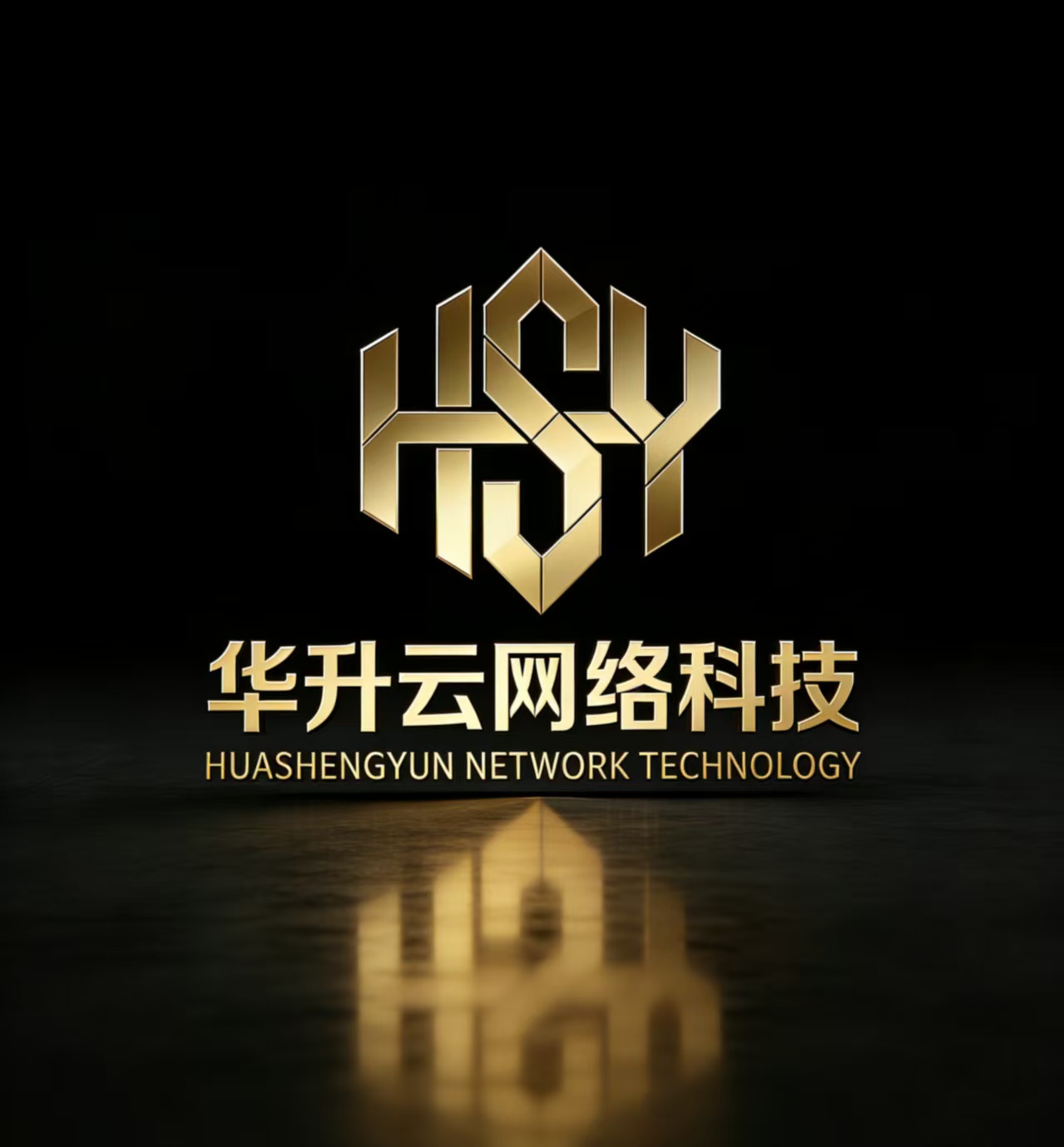 Shenzhen Huashengyun Network Technology Co., Ltd. logo