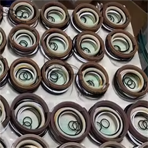 טואלדה מחפר חלקי 14514454 14589133 ערכת חותם דלי גליל עבור ec290b <span class=keywords><strong>ec210b</strong></span> <span class=keywords><strong>ec210b</strong></span> <span class=keywords><strong>ec210b</strong></span> - Product Image 4