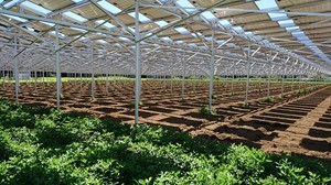 Inchol bán buôn nhà kính nông nghiệp trang trại mặt đất gắn năng lượng mặt trời hệ thống năng lượng mặt trời bảng điều khiển kệ - Product Image 5