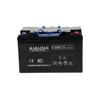 Batterie AGM 12V 75Ah à décharge profonde, sans entretien, pour transpalette électrique, gerbeur, autolaveuse 259x170x160mm