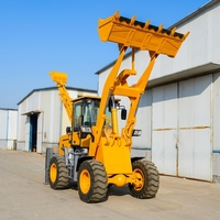 Chargeuse-pelleteuse compacte hydraulique 4x4 EURO5 à prix compétitif pour la construction