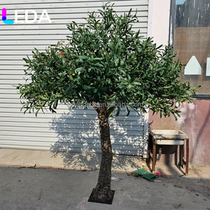 Arbre d'olivier artificiel LEDA 4M 5M 6M, style millénaire, luxueux, grand, de haute qualité, pour la décoration intérieure et extérieure, pour aménagement paysager - Product Image 3