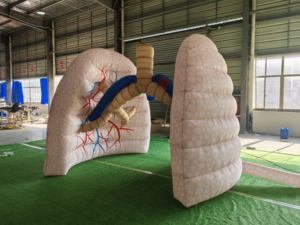 Modelo de Pulmón Humano Inflable Personalizado para Demostraciones en el Aula y Herramienta de Educación Médica - Product Image 2