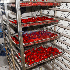 High Output Food Drying Machine Chili Drying Oven Room Dried Chili Production Line Chili Dehydrator Equipment - Product Image 4